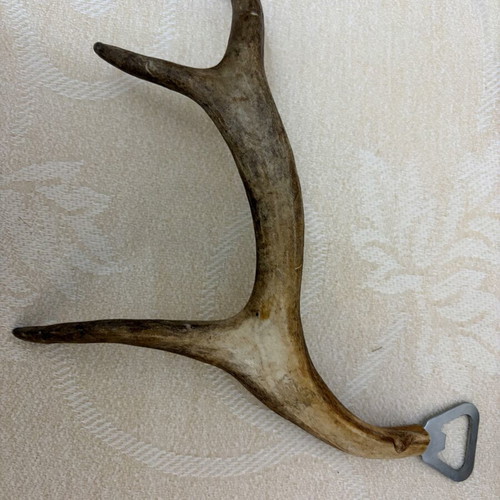 Bottle opener made of deer antler like new