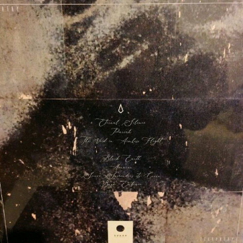 Telepathy Burn Embrace vinyl LP new, metal