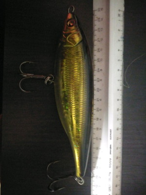 Lipless minnow Sebile 65gr and Sebile stick shaad 155 SU sinking