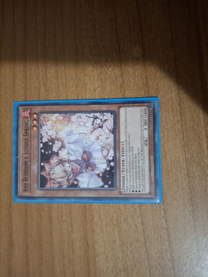 Κάρτα Yu-Gi-Oh! Ash Blossom & Joyous Spring