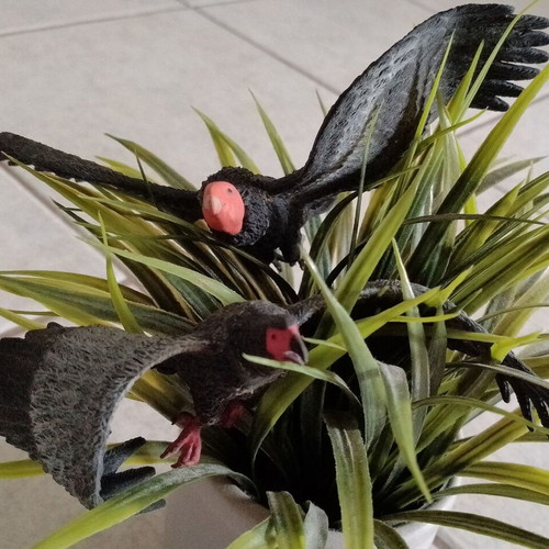 Set of 4 used wild rubber birds for sensory play