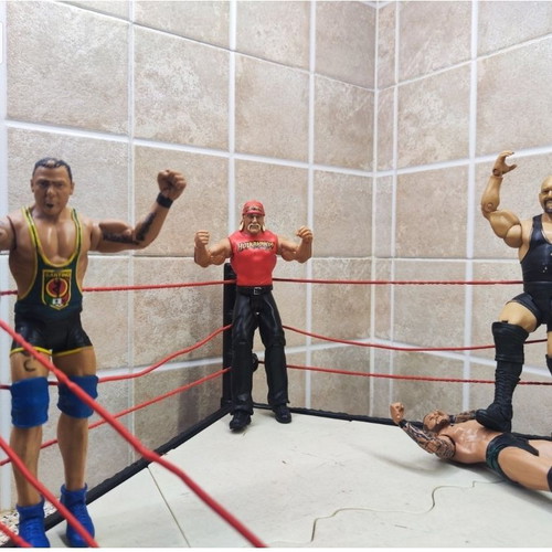 WWE Flex Force Breakdown Ring 2010 with 8 figures