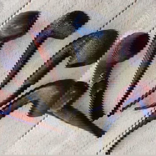 Πίπες Καπνού -6- Συλογη με βαση