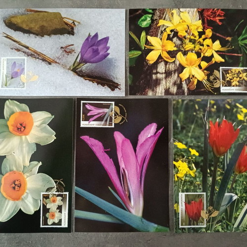 Greek flora 2005 complete stamp series on maximum cards new
