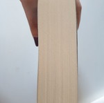 The Leopard book new