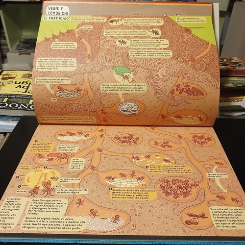 Sottoterra Sottaqua children's book in Italian 2015