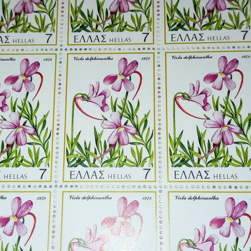Sheet of 50 unused Viola delphinantha stamps 1978 new
