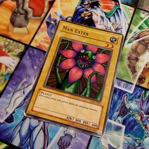 Man Eater Yu-Gi-Oh! card LOB/Unlimited, poor condition