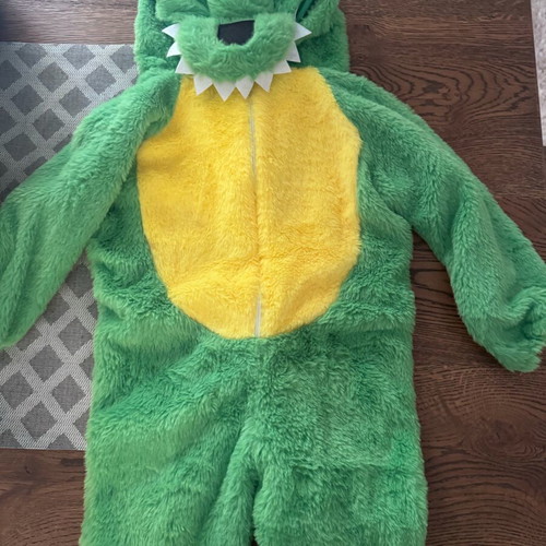 Dinosaur carnival costume for 18/24 months like new