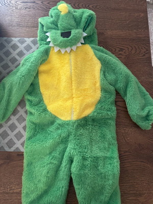 Dinosaur carnival costume for 18/24 months like new