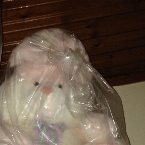 Large plush rabbit new