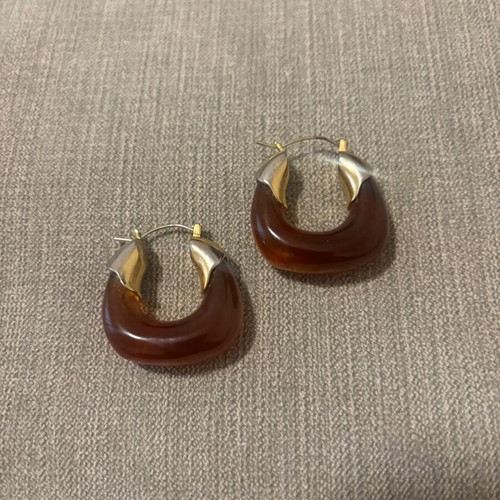 Tortoise earrings used with gold detail brown
