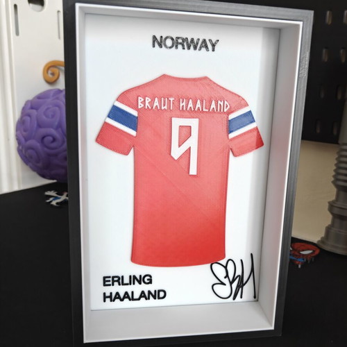 3D Printed Jersey Frame Erling Haaland made to order