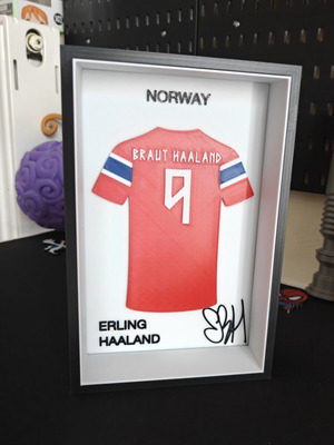 3D Printed Jersey Frame Erling Haaland made to order