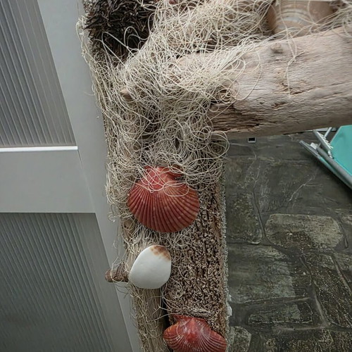 Mirror decorated with seashells like new