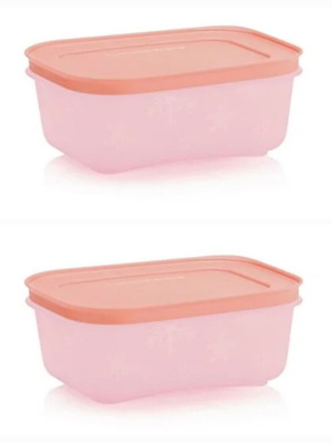 Δοχεία Tupperware Freezer Mates 450 ml, πακέτο 2