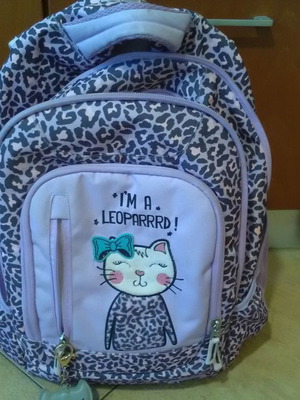 School bag used for elementary purple