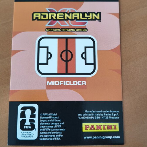 Panini Adrenalyn XL World Cup 2026 Martin Odegaard card like new