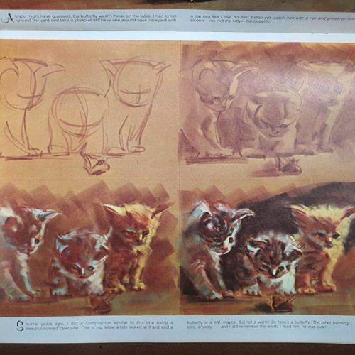 How to Draw Cats and Kittens book used