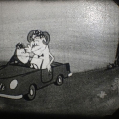 The Little Hungry Wolf Super 8mm film used, black and white, silent