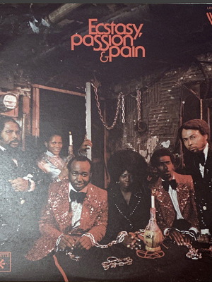 Δίσκος βινυλίου Ecstacy, Passion & Pain μεταχειρισμένος
