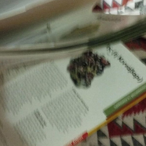 Binder Minerals of Our Planet National Geographic used