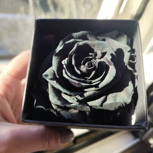 Black Forever Rose used, small box in luxury packaging
