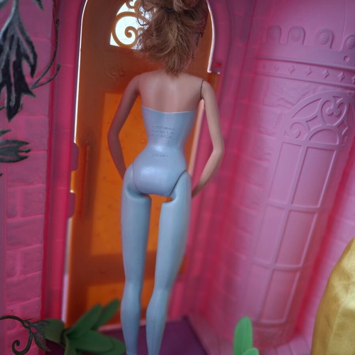 Barbie ballerina doll used