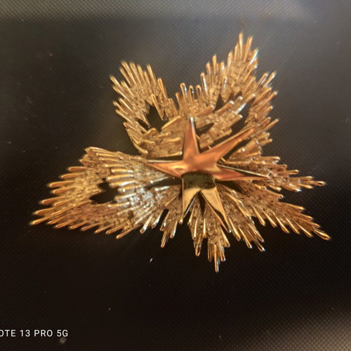 Crown Trifari Brooch vintage, gold-plated exploding star, like new