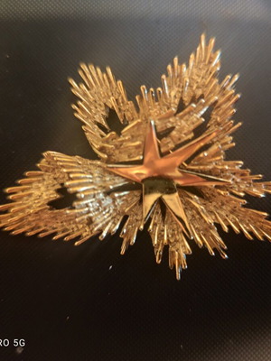 Crown Trifari Brooch vintage, gold-plated exploding star, like new