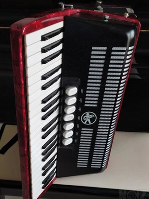 Hohner Bravo III 120 Accordion like new
