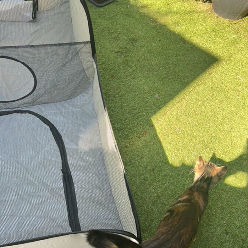 Large tunnel play tent for cats and small dogs