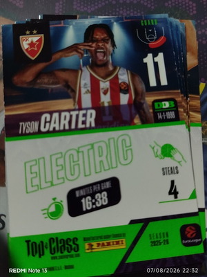 Panini Top Class stickers used