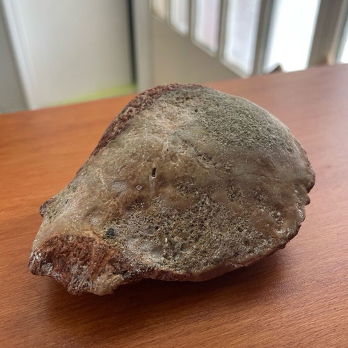 Conglomerate rock new with natural pebbles