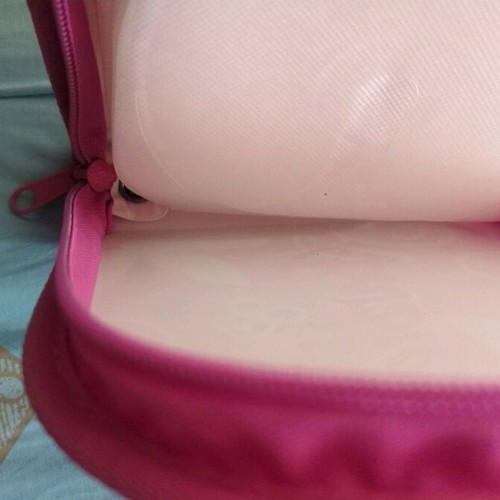 Barbie case for 24 CDs like new