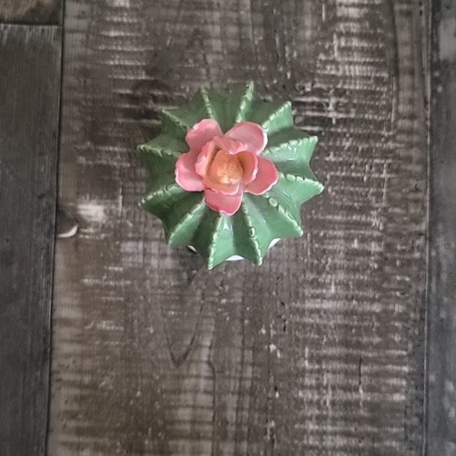 Decorative porcelain cactus new