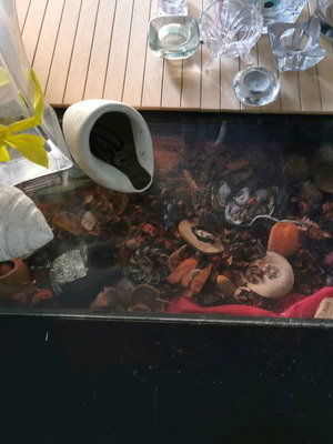 Coffee table used, solid wood 1.10×1.10 with large space