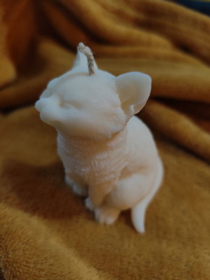 Scented plant-based cat candle new