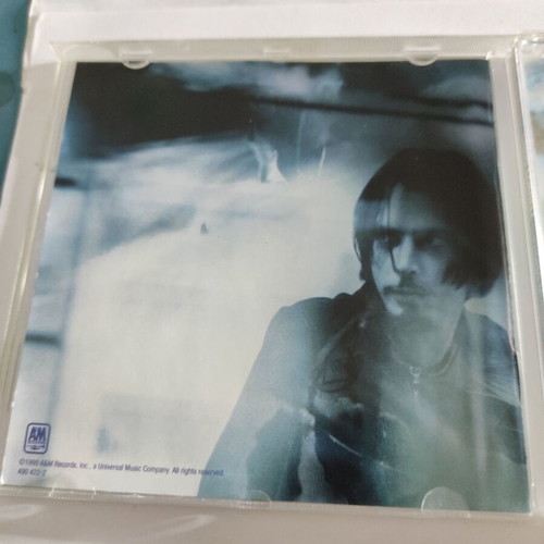 Chris Cornell Euphoria Morning CD like new, rock