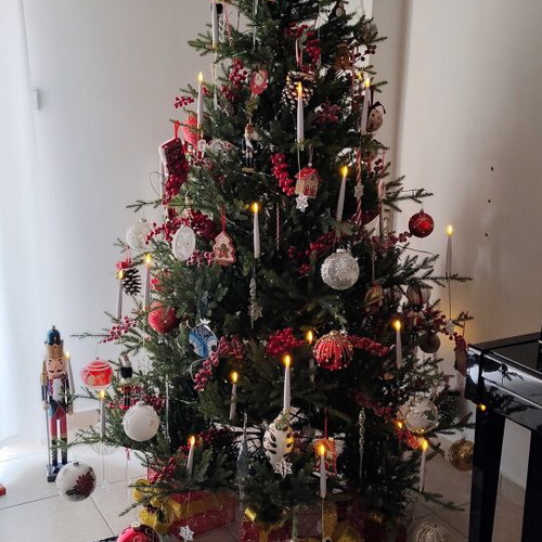 Norway spruce Christmas tree 210cm