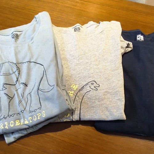 La Redoute Collections pajama set used, pack of 3, organic cotton, size 14