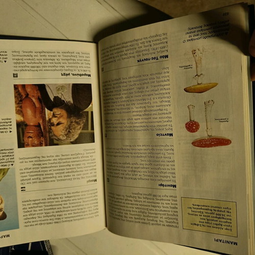 New children's encyclopedia Alpha 7 volumes like new