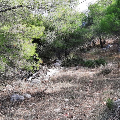 Land 1000 m² in Pefkali Corinthia with view and buildable