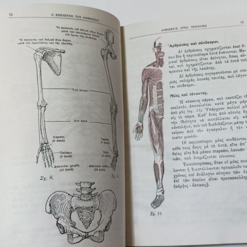 Greek Red Cross Youth Ai Protai Voitheiai 1955 used practical guide