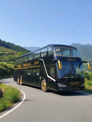 Electric bus with support
