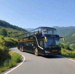 Electric bus with support