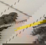  Ξυλόγλυπτο διακοσμητικό