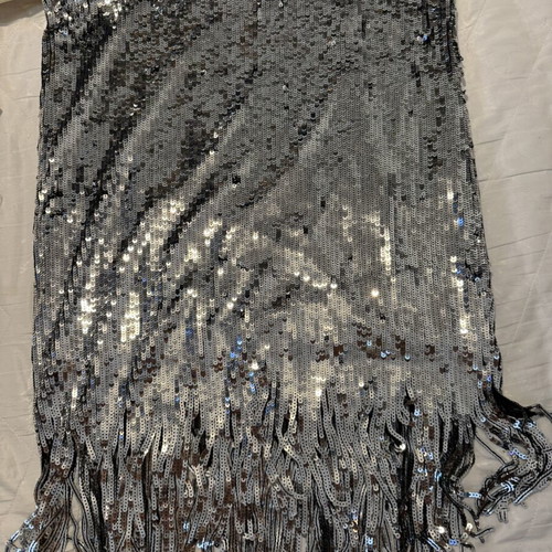 H&M silver skirt with sequins new