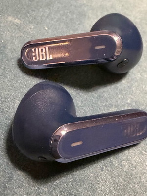 JBL Live Flex Bluetooth earbuds like new