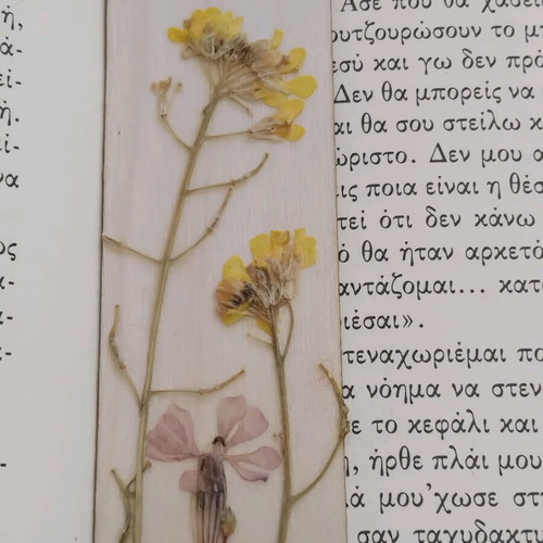 Set of 2 bookmarks with dried flowers new